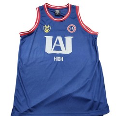 BoxLunch My Hero Academia UA High Jersey Shirt Mens Medium Blue Tank Top