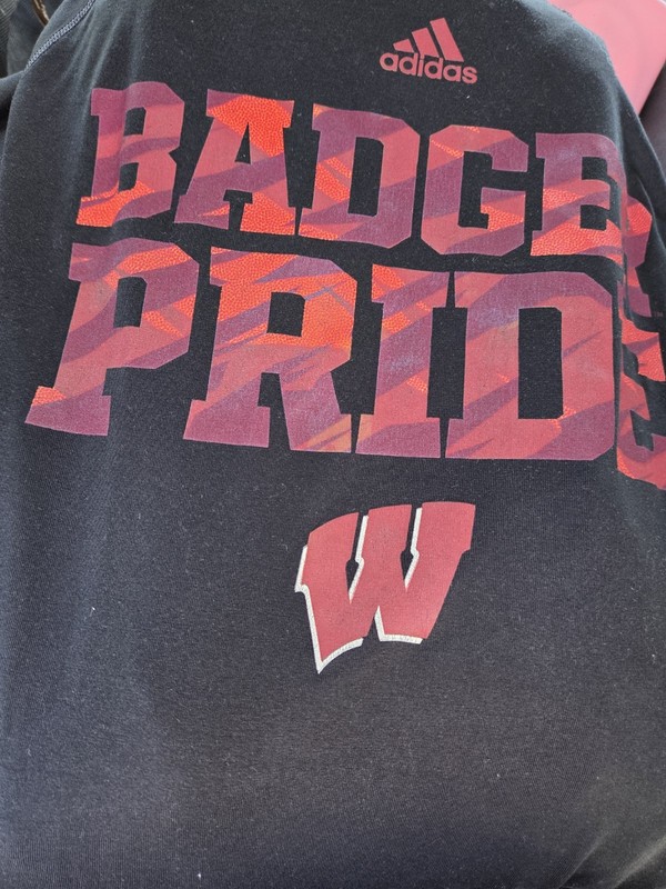 adidas Climalite Wisconsin Badgers Pride Graphic Tee Men's XL Black Polyester gallery