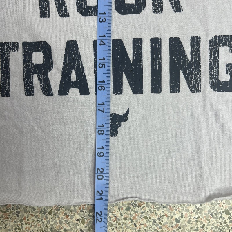 Under Armour Project Rock Men's T-Shirt 2XL Heavyweight Training Cutoff Gym Gray gallery