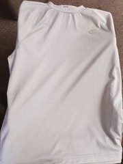 Champion Authentic Activewear Men’s Breathable Mesh Shirt, XXL, Tan