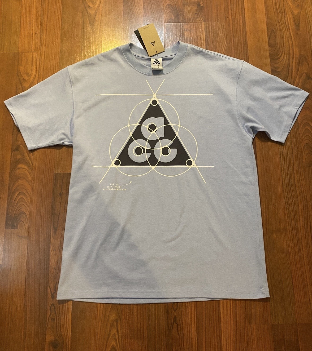 NEW Nike ACG Shocking Pink Long Sleeve Gear Retro Ice Blue USA Tee Shirt Medium gallery