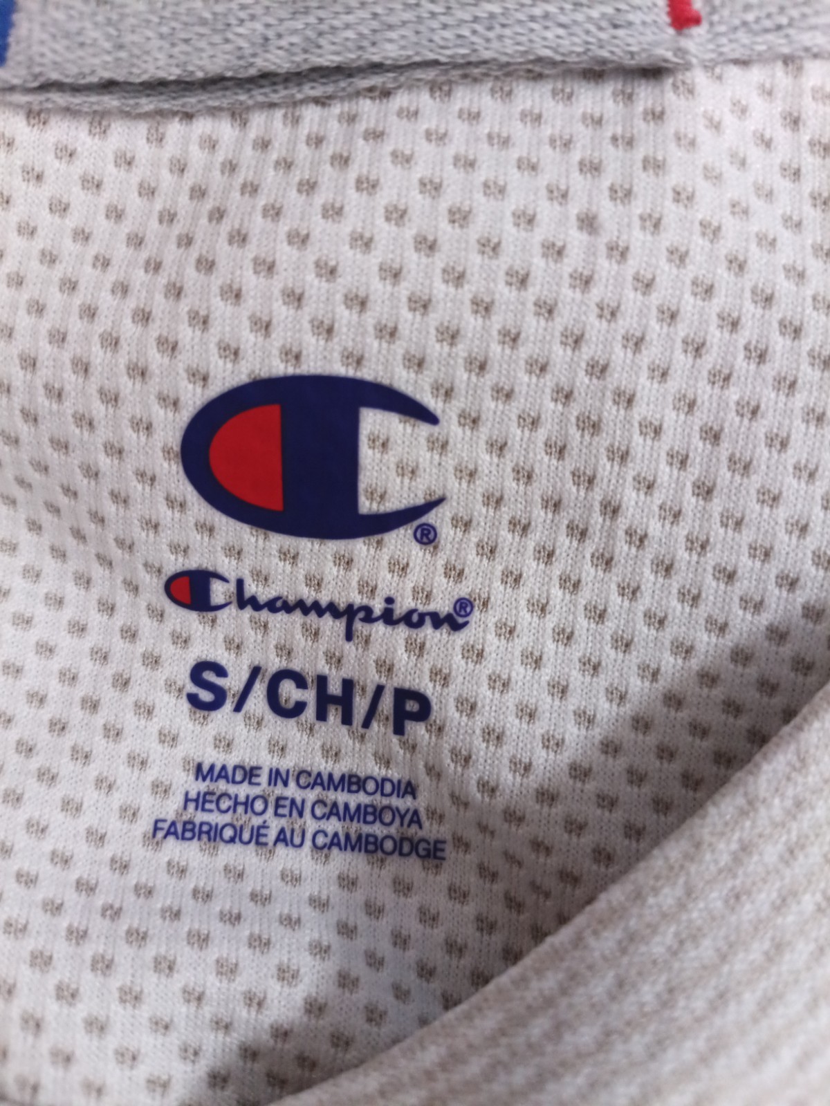 Champion Authentic Activewear Men's Breathable Mesh Shirt, Small, Tan gallery
