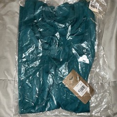 Men’s Essential Peak Eastern Mountain Sports Shirt