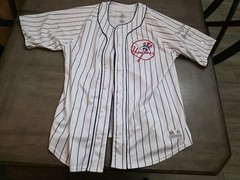 New York Yankees Jersey Mens L True Fan MLB Genuine Merchandise Pinstriped