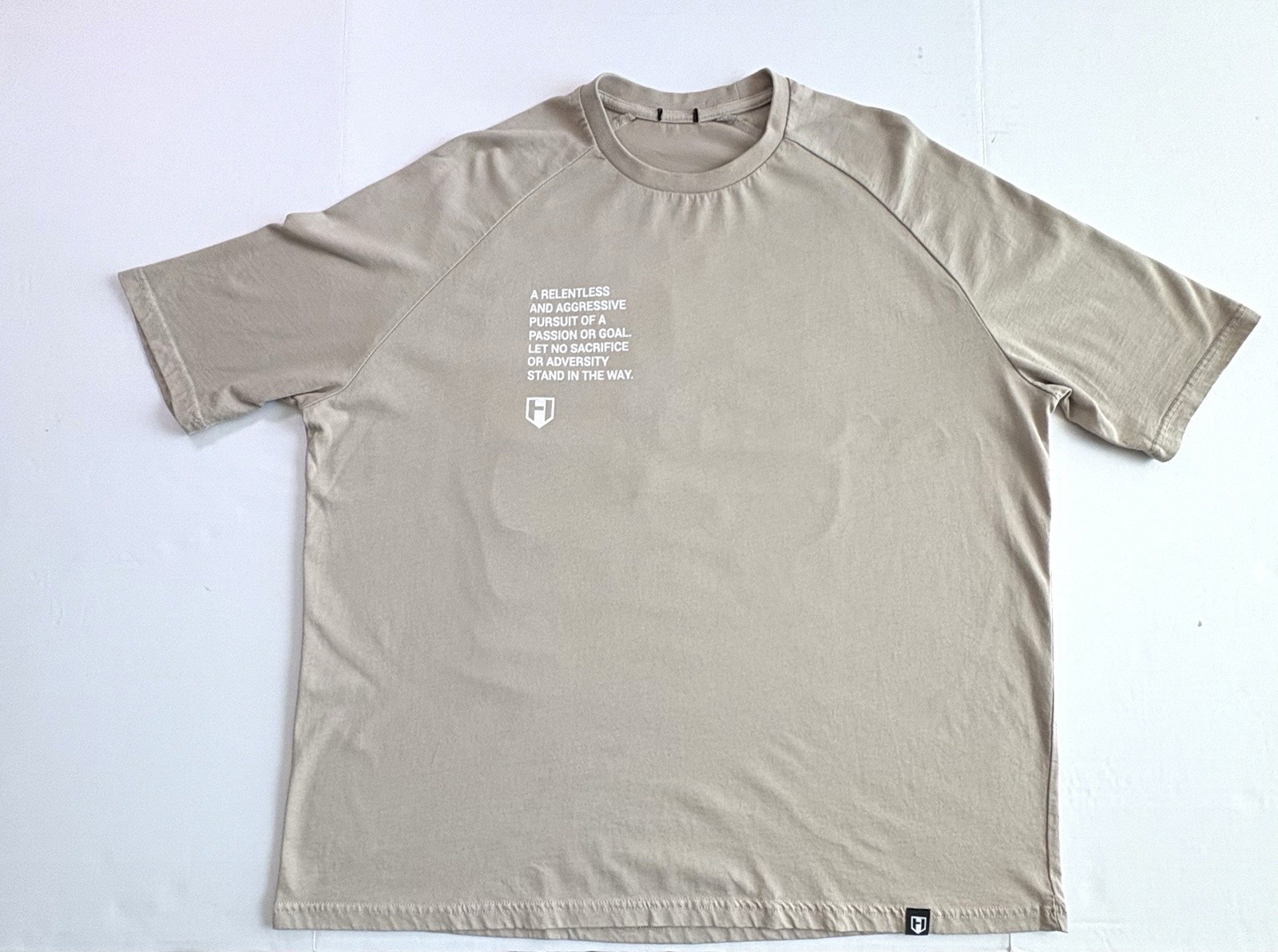 Hosstile oversized box fit gym bodybuilding tshirt S gallery