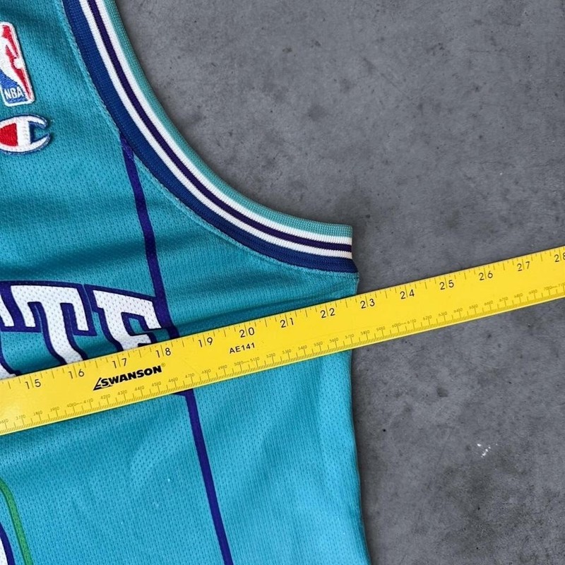 Vintage 90s Larry JohnsonB asketball Jersey Charlotte Pinstripe EURO Champion LG gallery