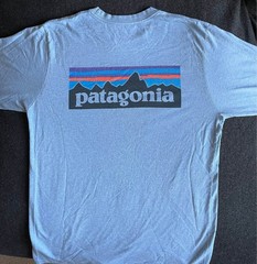 Patagonia Long Sleeve { Light Blue }