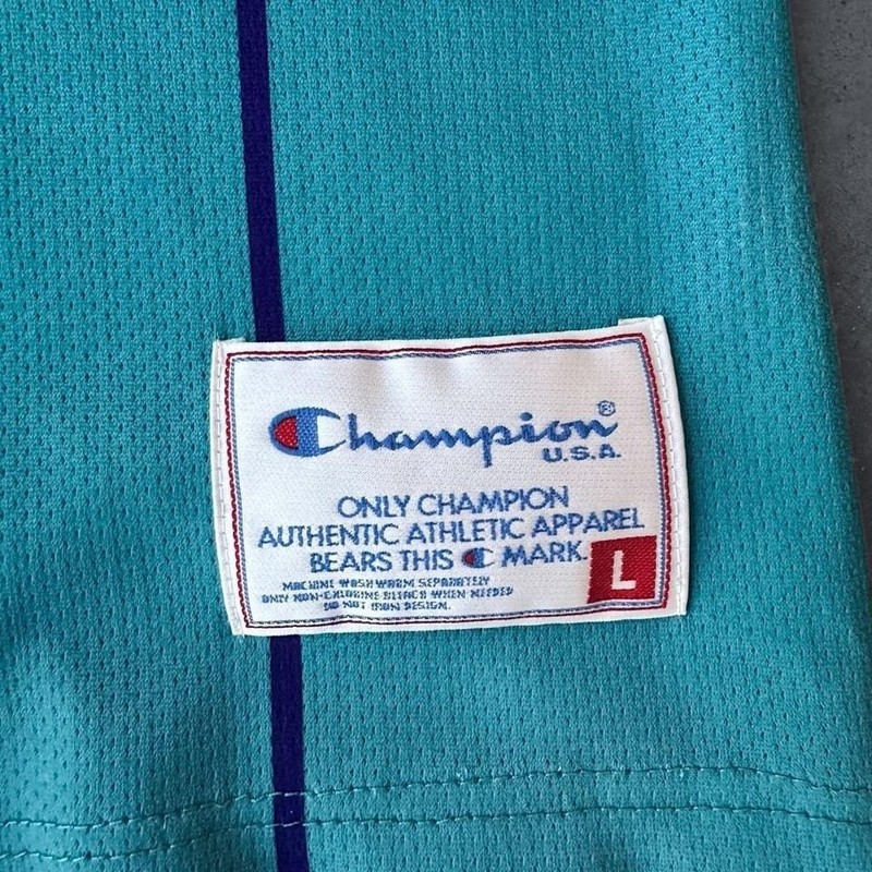 Vintage 90s Larry JohnsonB asketball Jersey Charlotte Pinstripe EURO Champion LG gallery