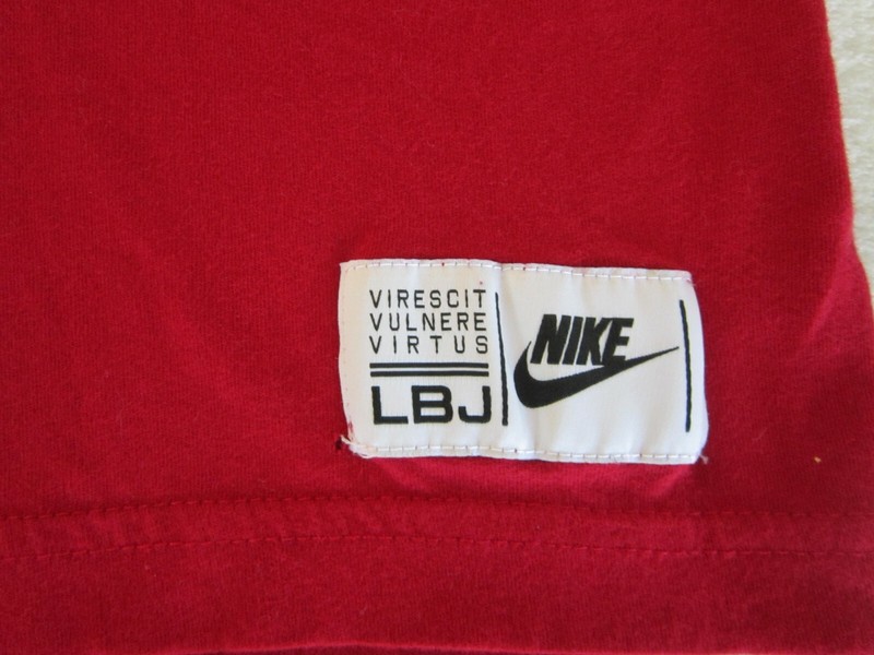 Nike Lebron James “Lion On The Beach” Basketball Shirt Adult Small Red LBJ gallery