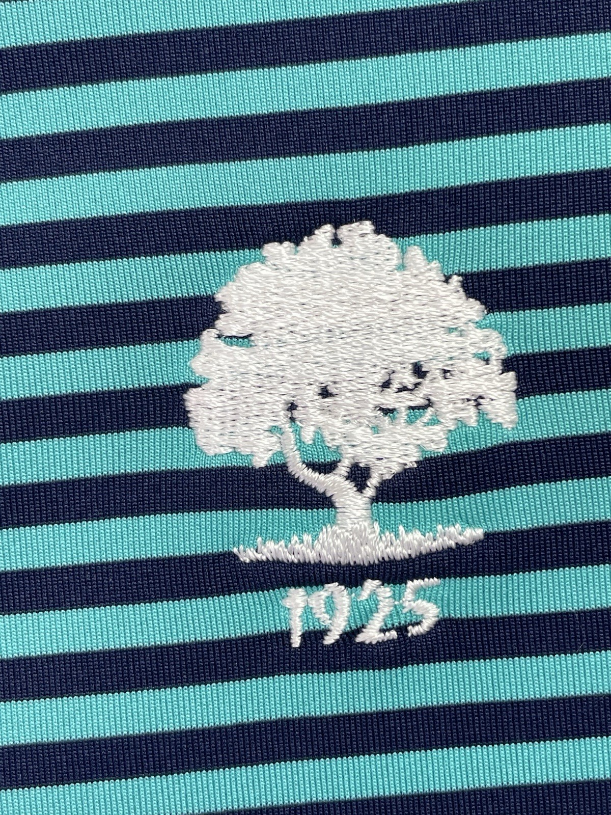 RLX / Woodland Hills CC Mens Sz XL Teal/Blue Stripped Golf Polo Shirt (B41) EUC gallery
