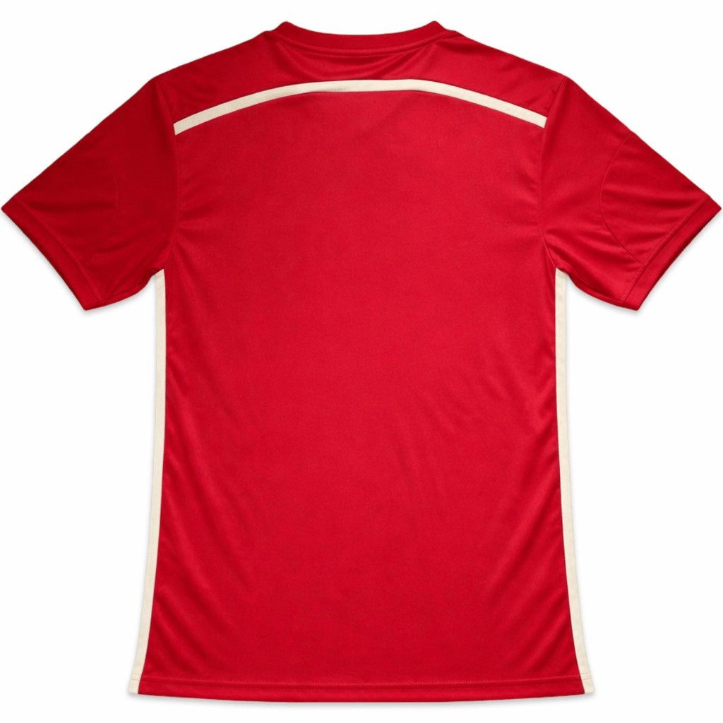 Spain National Team Soccer Jersey Large Red BBD Sports NWT gallery