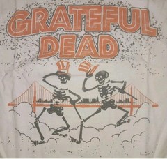 Junk Food Mens Grateful Dead Graphic T-Shirt, White, Medium 1989 Tour Dates Htf