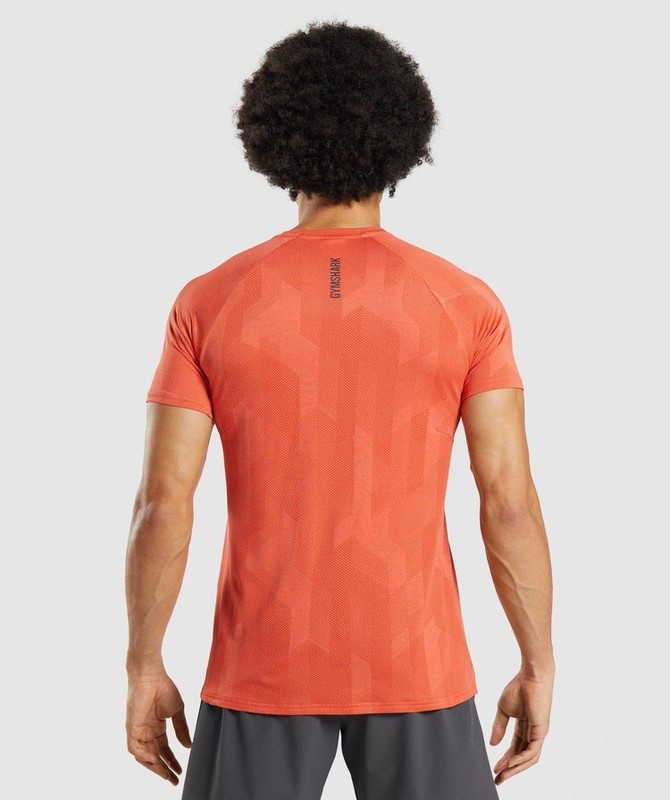 Gymshark Apex T-Shirt Slim Fit Firefly Orange Men’s XS gallery