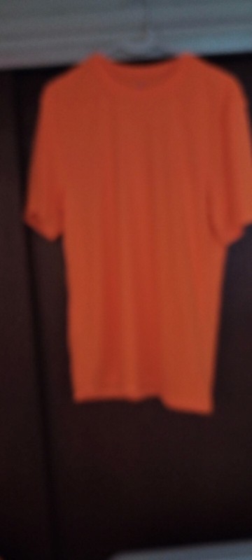 HANES MEN'S TSHIRT COOL DRI PERFORMANCE SAFETY ORANGE LARGE NWOT JORDAN gallery