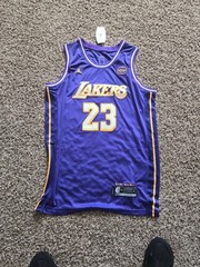 LeBron James Lakers