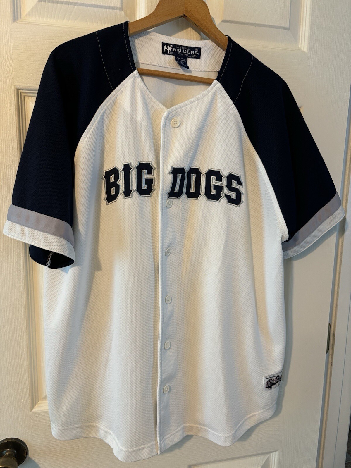 Mens Vintage Big Dogs Embroidered Baseball Jersey/X Color Sleeves Size Large gallery