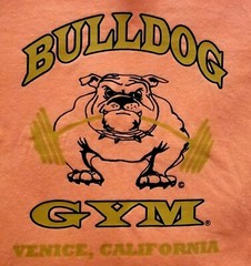 Bulldog Gym Venice Beach California Orange / Vintage Gold V-Neck T-Shirt NEW