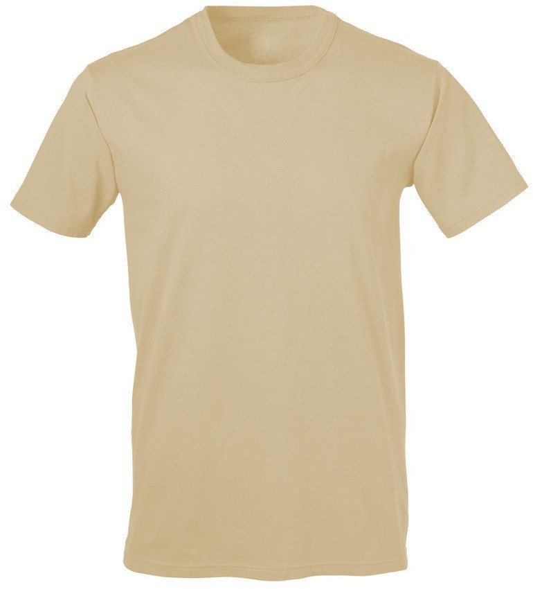 GI Soffe Dri Performance Short Crew T Shirt SAND Cotton MEDIUM 2pack gallery