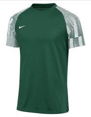 Nike Dri-FIT Academy Soccer Performance Slim Fit Jersey Shirt Green DH8033-341 S