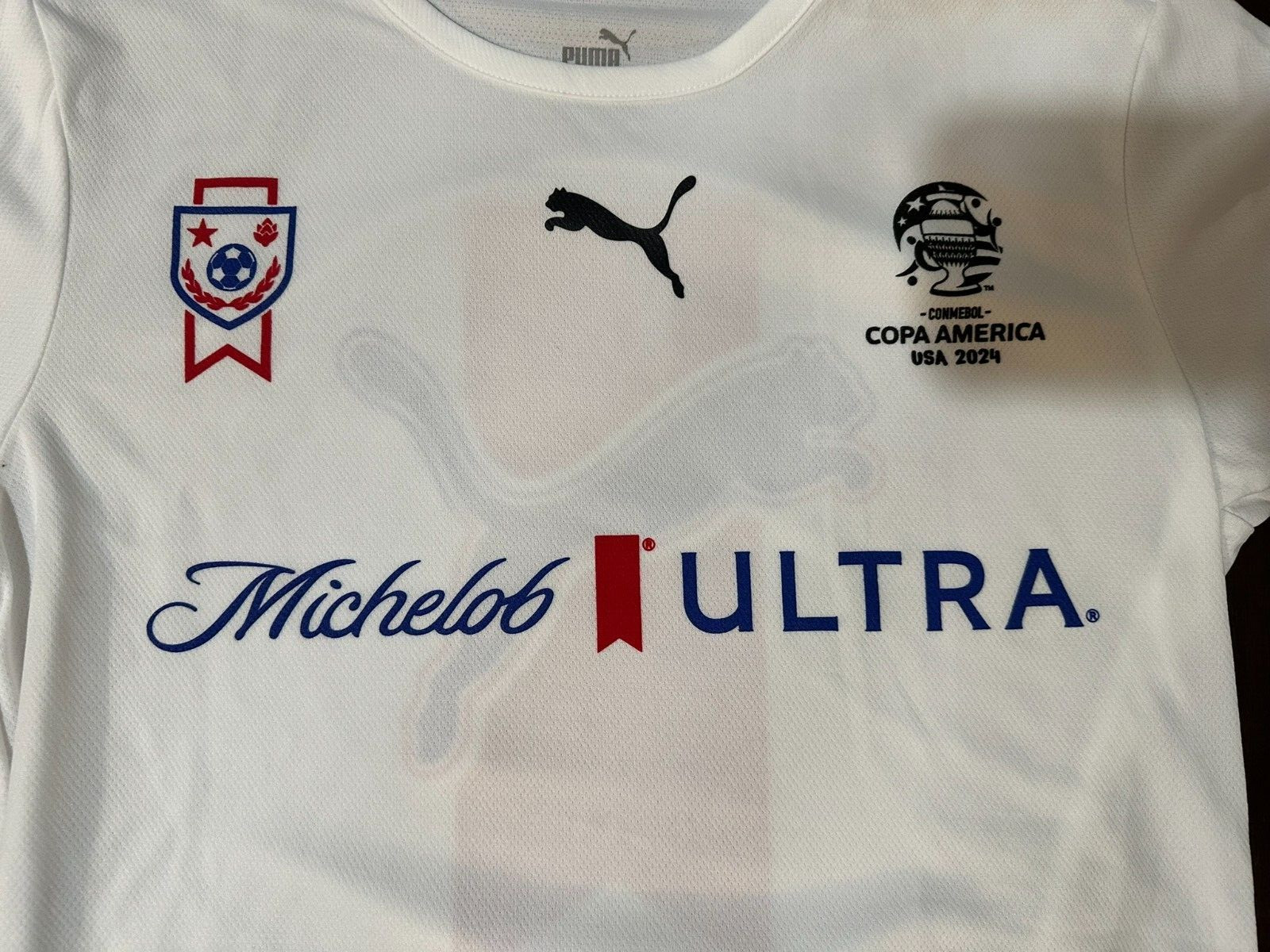 Puma Drycell Jersey Michelob Ultra Conmebol Copa America 2024 Men's Size Small gallery