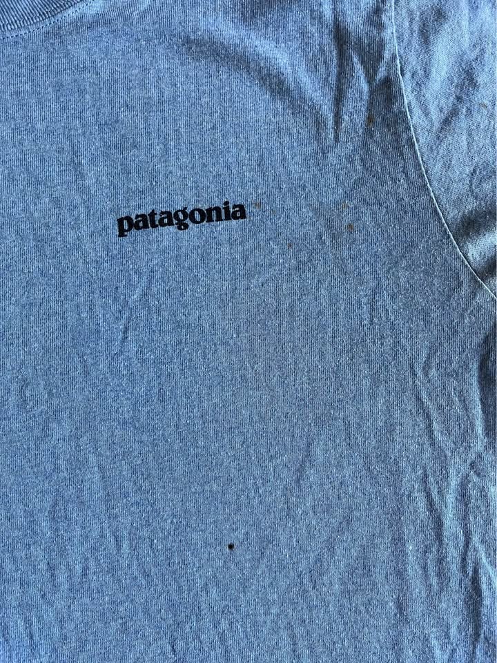 Patagonia Long Sleeve { Light Blue } gallery