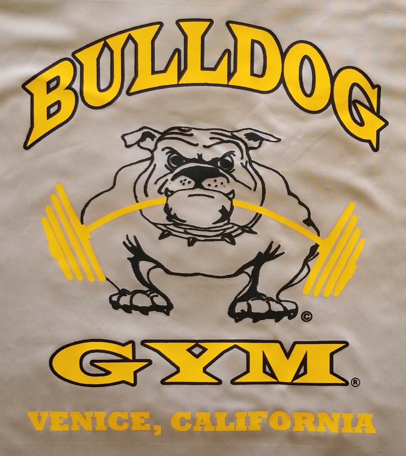 Bulldog Gym Muscle Workout Bodybuilding Sand / Vintage Gold T-Shirt NEW M L XL gallery