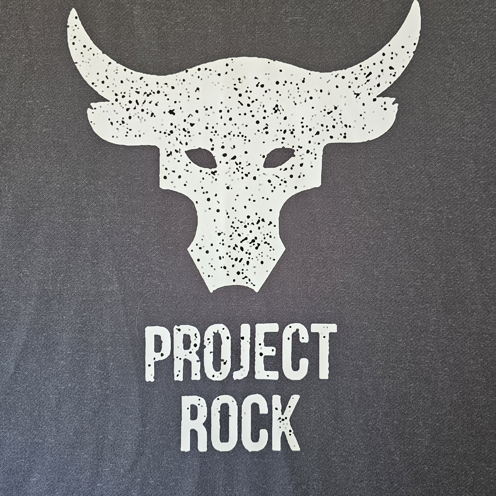 Project Rock XL T-shirt Mens Large Gray Gym Workout Training Front Graphics gallery