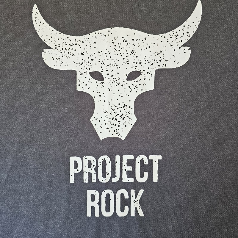 Project Rock XL T-shirt Mens Large Gray Gym Workout Training Front Graphics gallery
