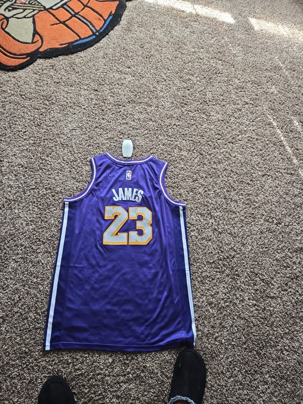 LeBron James Lakers gallery