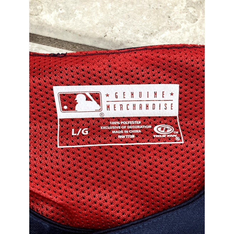 MLB Minnesota Twins Baseball Jersey Mens Large Embroidered Blank Merch No Name gallery