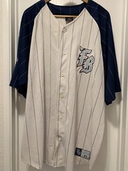 Vintage 90s FUBU Pinstripe Baseball Jersey Sportswear Streetwear Athleisure XXL