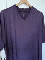 01. ALGO Performance Shirt Quick Dry Anti Odor 3XL V Neck Purple