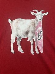 Nike Air Jordan GOAT Jumpman 23 Bulls Graphic T-Shirt Red Men’s Large IF0786-687