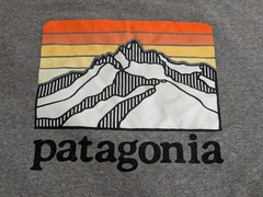 Patagonia Capilene Longsleeve Mountain shirt Large