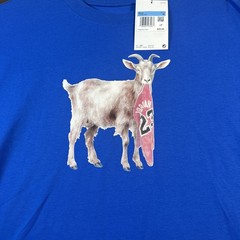 Nike Air Jordan GOAT Jumpman 23 Bulls Graphic T-Shirt Blue Men’s M IF0786-459