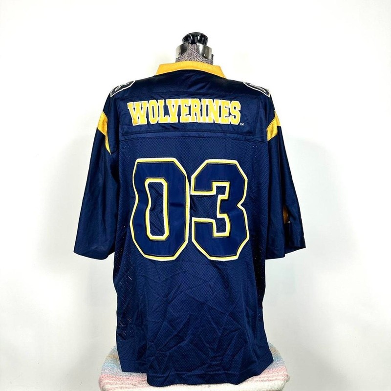 Vintage Pro Player Blue And Maize U Of Michigan Football Jersey Size XL gallery