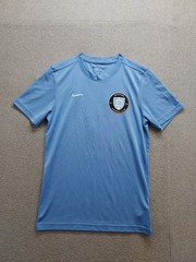Nike Dri Fit Men Jersey S Sky Blue Crew Neck Short Sleeve Pullover Logo Active